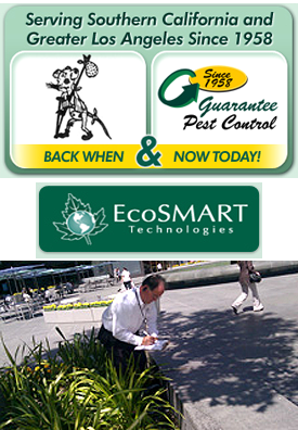 Guarantee Pest Control About Us pic